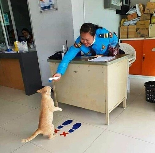 39054d26c43f127fabeaf67bea4b8192