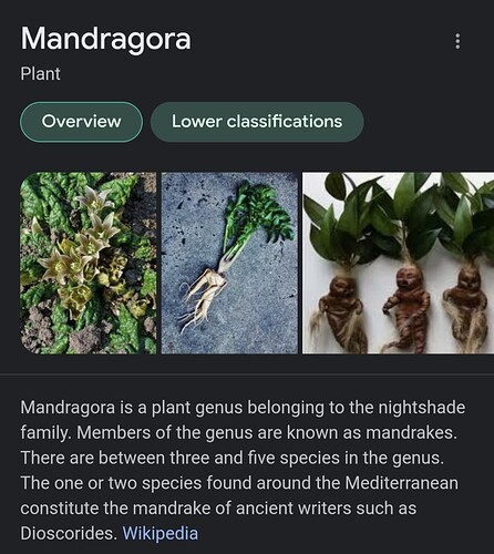 Screenshot_20220525-015422