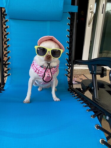 zoe_glasses