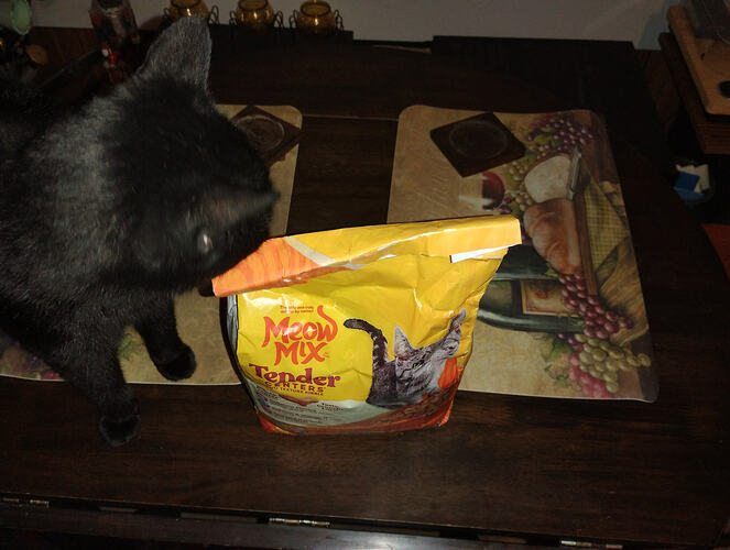 IMG_20260201_181017646