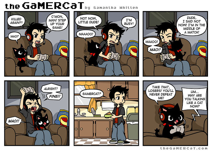 2013-09-23-gamercat_41
