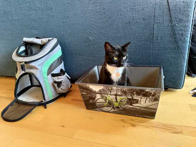 IMG-f25bbea5b68e1e550cecd22216d46d01-V