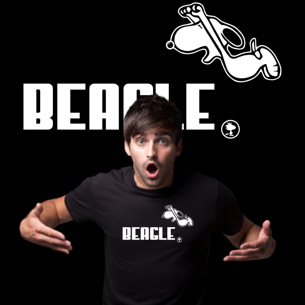 Beagle