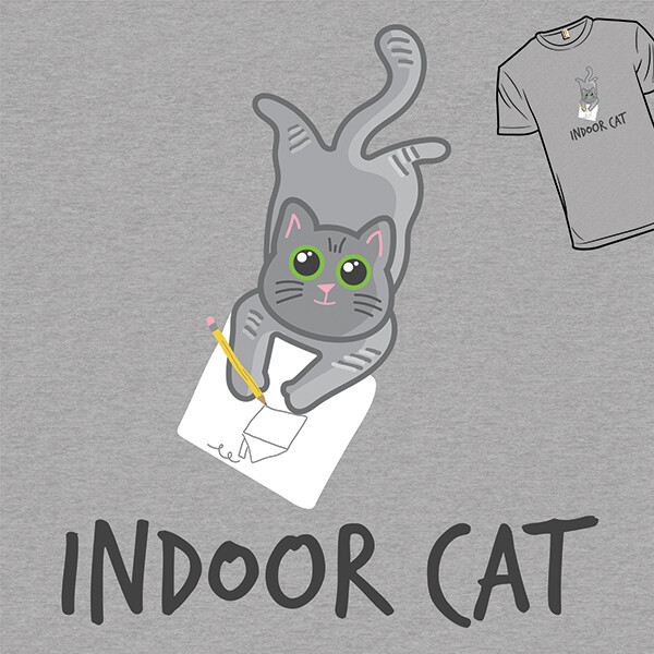 Indoor Cat