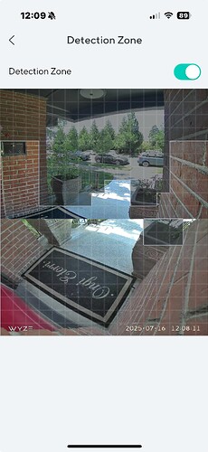 IMG_D66A5825CFEE-1