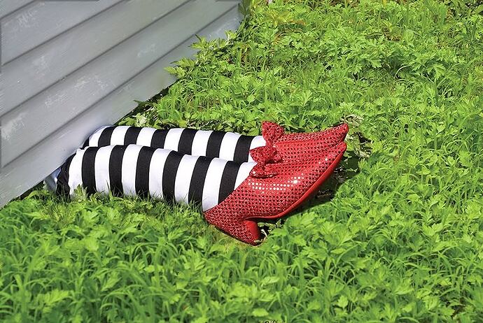 Socks