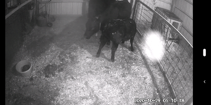 Screenshot_20201029-051019