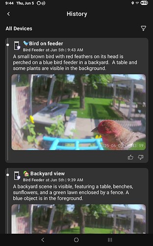 Screenshot_20250605_094442_Wyze