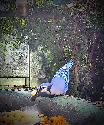 Img_2025_09_28_11_24_28