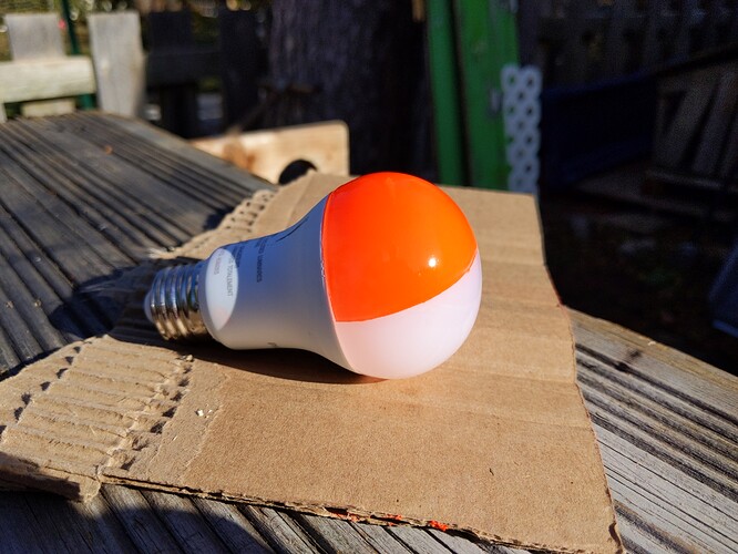 bulb