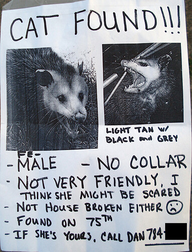 possum_poster