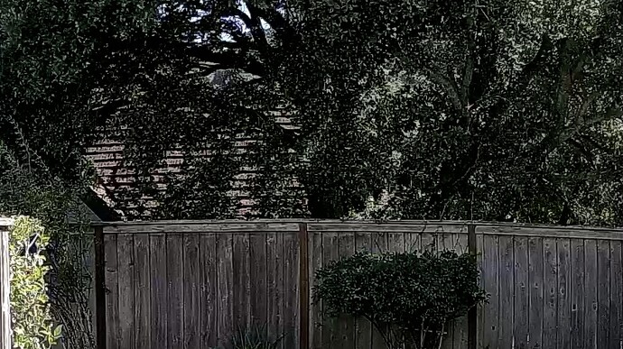 WYZE_1691968797.427973