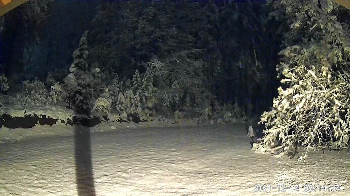 2CAA8EFFEFC3_1639487671987