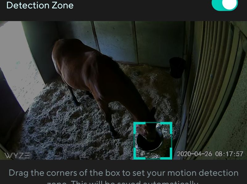 Screenshot_20200426-081758_Wyze-01