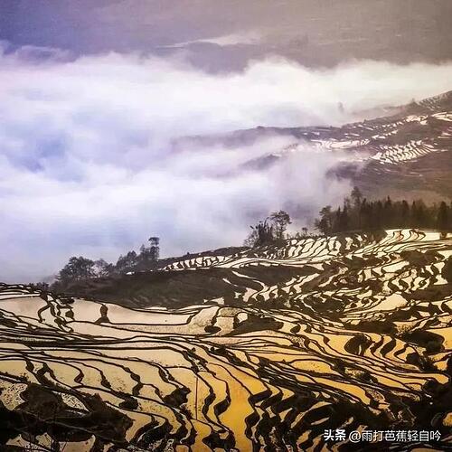 云南 | 梯田正值最美季 云南 | 梯田正值最美季