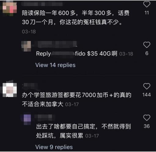 90后陪读妈妈来温哥华 两个月烧掉23万 退学回流