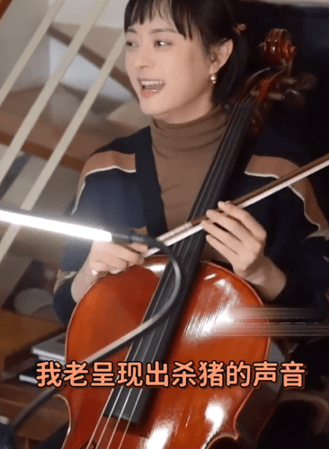 孙俪大提琴考级视频曝光 没背谱引热议