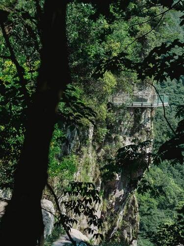 五一去哪？宁波发现小众绿野仙踪 景美人少