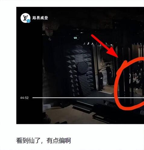明星LV秀场生图来了！刘亦菲瘦了 谷爱凌老气
