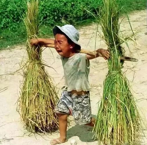 上海阿姨坐拥4套房被举报，邻居：您这苦吃得冤