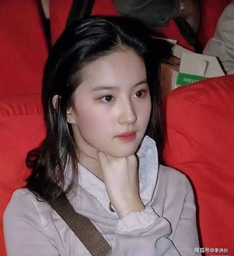 刘亦菲母亲：64岁两婚两离 如今是单身贵族