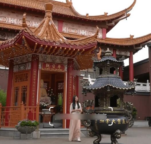 王祖贤近照打扮少女脸部僵硬 医美痕迹重