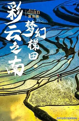 云南 | 梯田正值最美季 云南 | 梯田正值最美季