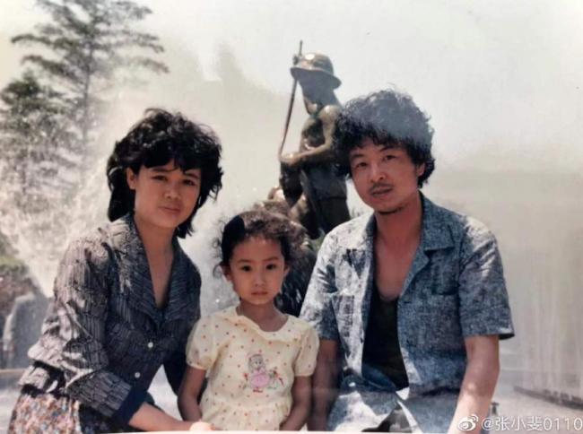 没有了贾玲，她还能行吗