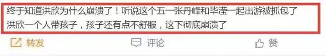 洪欣张丹峰离婚原因曝光：孩子生病