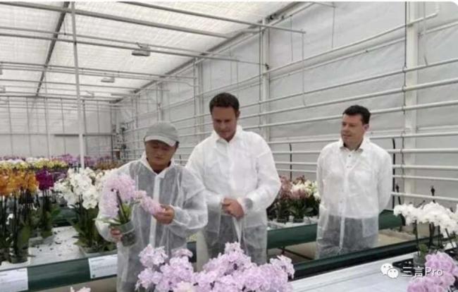 行踪全记录： 这些年，马云都去过哪儿了