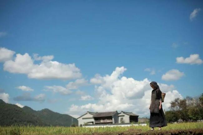 汤唯婚后隐居韩国乡村引热议 揭开婚姻真面目