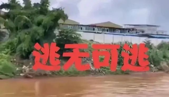 缅北有多恐怖?被逼卖淫割腰子,幸存者讲述经历 缅北有多恐怖?被逼卖淫割腰子,幸存者讲述经历