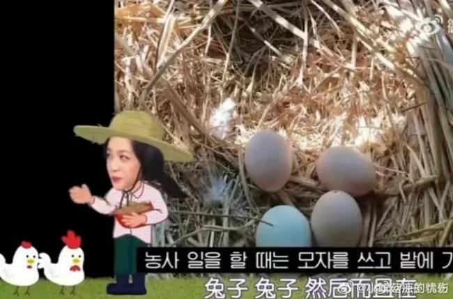 汤唯婚后隐居韩国乡村引热议 揭开婚姻真面目
