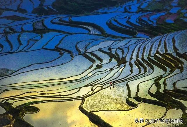 云南 | 梯田正值最美季 云南 | 梯田正值最美季