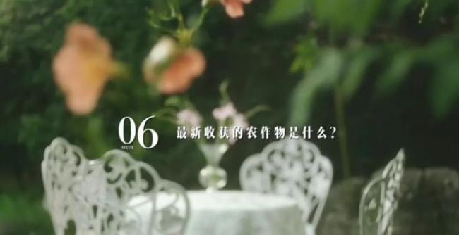汤唯婚后隐居韩国乡村引热议 揭开婚姻真面目