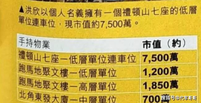 洪欣坎坷情史：头婚嫁富豪 与莫少聪未婚生子