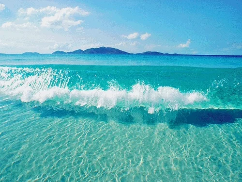 beach vacation GIF