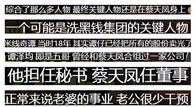 蔡天凤事件：缺钱的是转行做高利贷的谭家