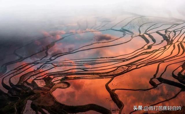 云南 | 梯田正值最美季 云南 | 梯田正值最美季