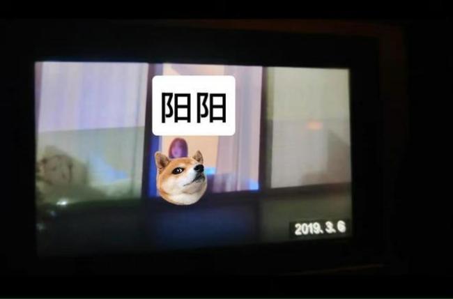 鹿晗现身成都疑探班女友关晓彤 一头粉发超抢镜 鹿晗现身成都疑探班女友关晓彤 一头粉发超抢镜