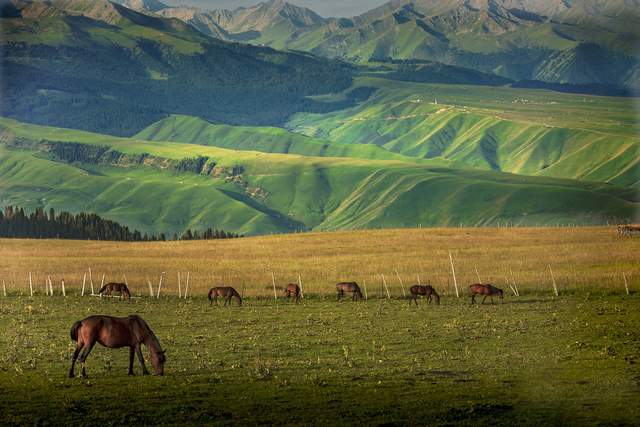 新疆旅游攻略 网友揭秘:这几个地方一定要看 新疆旅游攻略 网友揭秘:这几个地方一定要看
