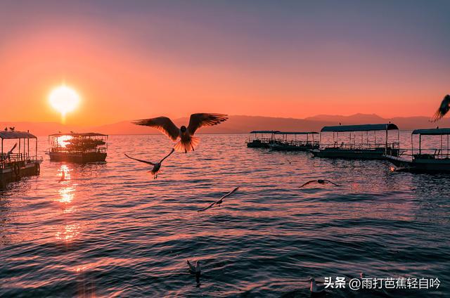 云南 | 梯田正值最美季 云南 | 梯田正值最美季